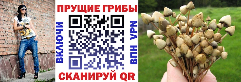 Псилоцибиновые грибы мухоморы  Андреаполь 